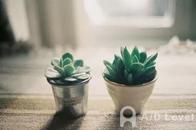 A-Level物理不同题型解题技巧AOLevel考试资讯网_A-Level与O-Level考试培训网