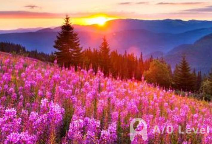 A-level数学数列及立体几何解题技巧AOLevel考试资讯网_A-Level与O-Level考试培训网