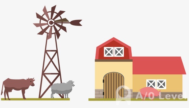 O-level生物考试快速提高成绩方法介绍AOLevel考试资讯网_A-Level与O-Level考试培训网