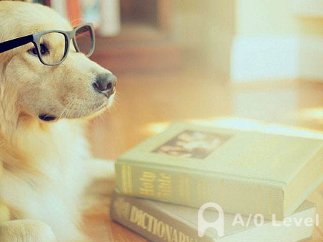 O-level数学考试考前如何准备？AOLevel考试资讯网_A-Level与O-Level考试培训网