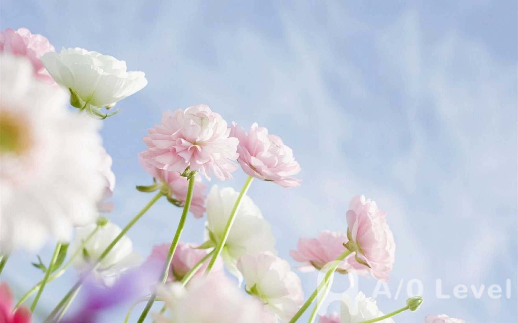 A-Level数学考试难以提升成绩的原因分析AOLevel考试资讯网_A-Level与O-Level考试培训网