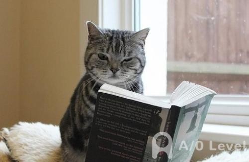 O-Level物理考试备考知识点：弹簧模型（2）AOLevel考试资讯网_A-Level与O-Level考试培训网