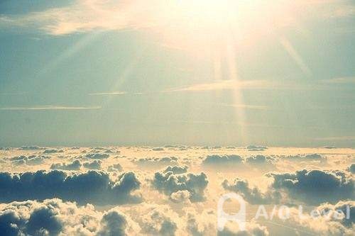 A-Level生物考试易错点整理汇总AOLevel考试资讯网_A-Level与O-Level考试培训网