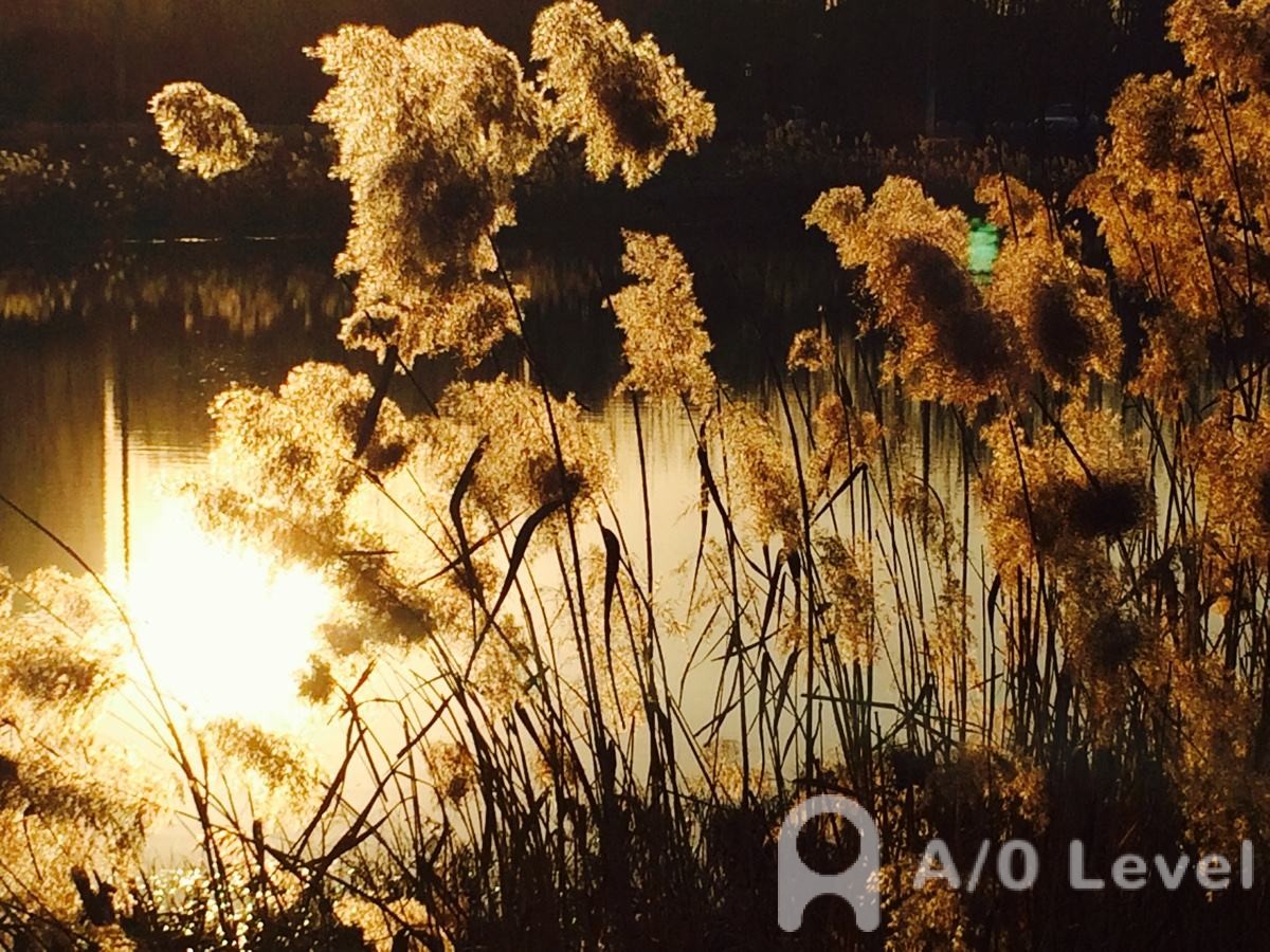 如何备考A-Level数学考试​才能得高分？AOLevel考试资讯网_A-Level与O-Level考试培训网