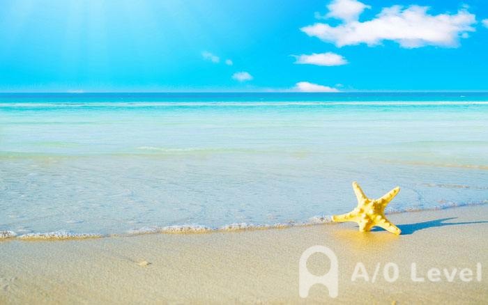 O-Level物理考试练习题：磁场对运动电荷的作用AOLevel考试资讯网_A-Level与O-Level考试培训网