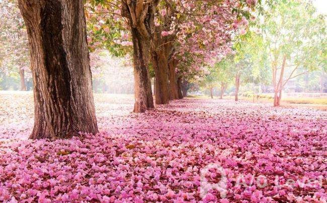 O-Level化学考试氧化还原反应考点整理AOLevel考试资讯网_A-Level与O-Level考试培训网