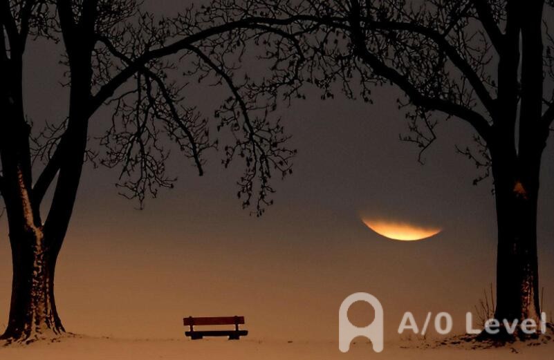 O-Level生物考试备考重要知识点（2）AOLevel考试资讯网_A-Level与O-Level考试培训网