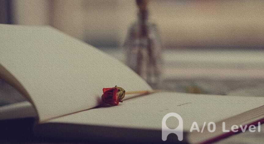 O-Level物理考试摩擦力知识点归纳AOLevel考试资讯网_A-Level与O-Level考试培训网