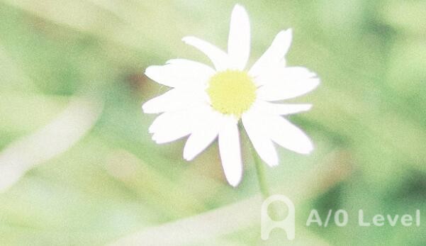 A-Level化学实验题：装置方面的应对AOLevel考试资讯网_A-Level与O-Level考试培训网