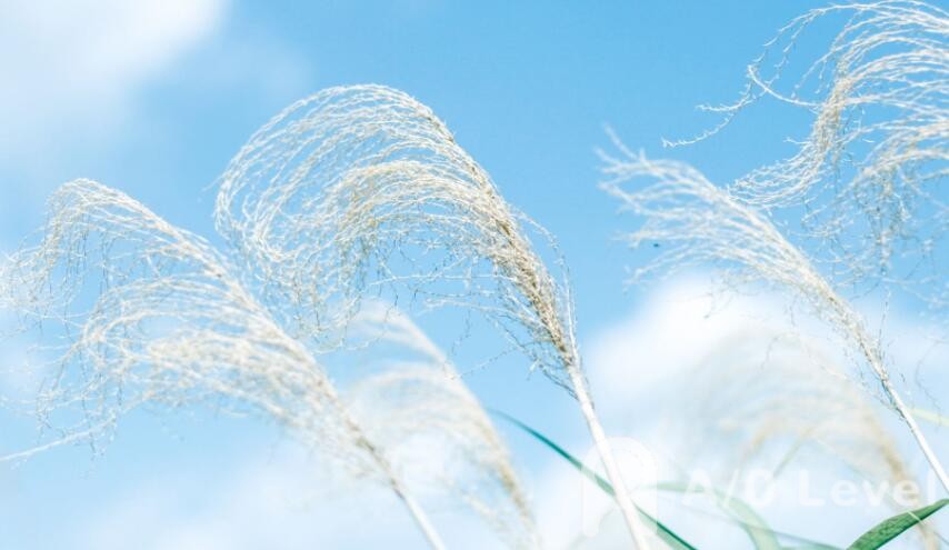 A-Level化学考试实验试剂保存问题AOLevel考试资讯网_A-Level与O-Level考试培训网