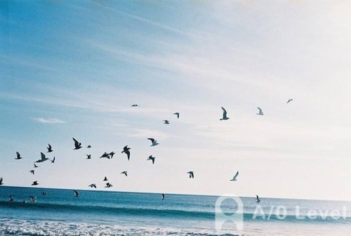 O-Level化学备考：盐类水解的应用规律（1）AOLevel考试资讯网_A-Level与O-Level考试培训网