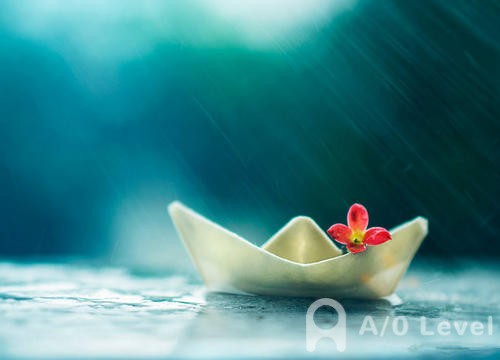 O-Level生物考试你应该学会的东西（下）AOLevel考试资讯网_A-Level与O-Level考试培训网