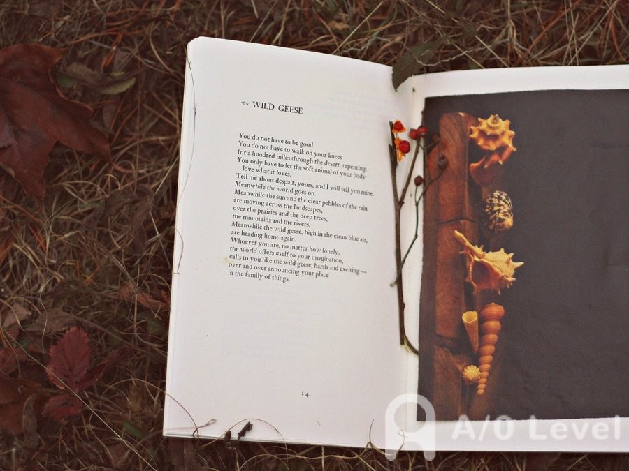 A-Level化学考试基本理论测试（1）AOLevel考试资讯网_A-Level与O-Level考试培训网