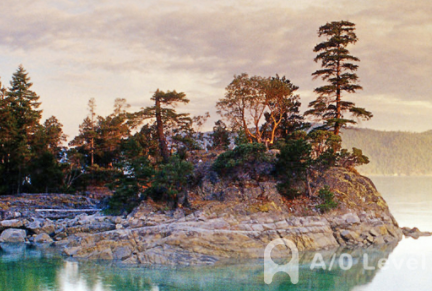 A-level化学考试专业知识的内容分享AOLevel考试资讯网_A-Level与O-Level考试培训网