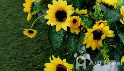 A-Level数学考试高分备考攻略分享（1）AOLevel考试资讯网_A-Level与O-Level考试培训网