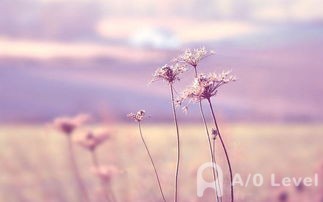 O-level化学考试​的各种反应你得了解AOLevel考试资讯网_A-Level与O-Level考试培训网