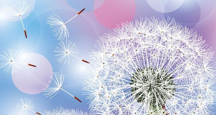 O-level物理考试电磁感应的相关知识点AOLevel考试资讯网_A-Level与O-Level考试培训网