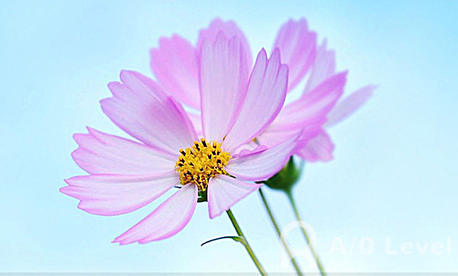 备考level物理考试重要知识点：交变电流AOLevel考试资讯网_A-Level与O-Level考试培训网