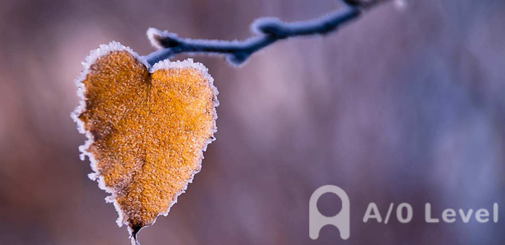 A-Level物理考试备考重要考点介绍（1）AOLevel考试资讯网_A-Level与O-Level考试培训网