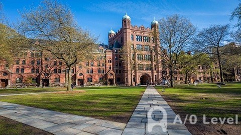 Alevel物理振动和波的知识点AOLevel考试资讯网_A-Level与O-Level考试培训网