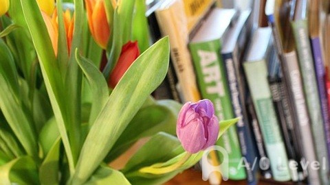 如何保证ALevel经济essay少丢分？AOLevel考试资讯网_A-Level与O-Level考试培训网