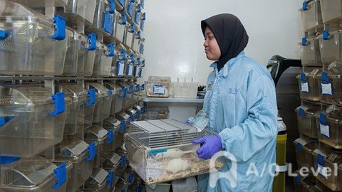 学习ALevel英语​部分的要点AOLevel考试资讯网_A-Level与O-Level考试培训网