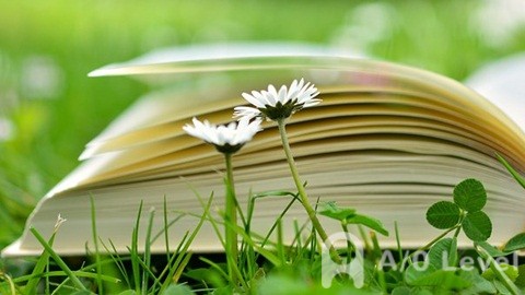 OLevel化学​实验的知识点AOLevel考试资讯网_A-Level与O-Level考试培训网