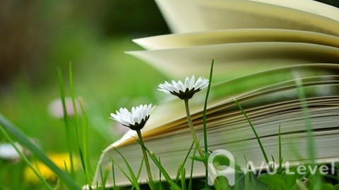 A-level艺术设计课程全面解析AOLevel考试资讯网_A-Level与O-Level考试培训网