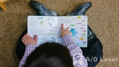 新加坡淡马锡基金会宣布：将捐赠338万新元给低收入家庭儿童培育户头AOLevel考试资讯网_A-Level与O-Level考试培训网