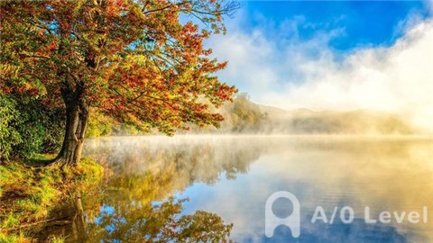 新加坡 'O' Level考试后，该何去何从？AOLevel考试资讯网_A-Level与O-Level考试培训网