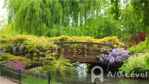 如何凭借新加坡olevel考试成绩进入私立学校？AOLevel考试资讯网_A-Level与O-Level考试培训网