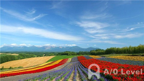 受高警戒期影响，新加坡5月份旅游消费券使用率降至新低AOLevel考试资讯网_A-Level与O-Level考试培训网