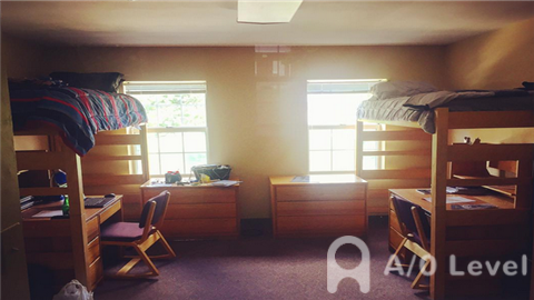 新加坡O水准考试后的发展方向有哪些？AOLevel考试资讯网_A-Level与O-Level考试培训网