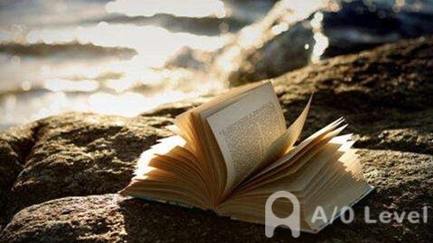 新加坡本土首创！南洋理工大学与国际非盈利性组织开设肉类替代品技术的新本科课程AOLevel考试资讯网_A-Level与O-Level考试培训网