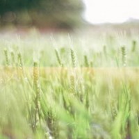 A-level数学——统计S1内容归纳AOLevel考试资讯网_A-Level与O-Level考试培训网