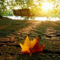 A-level成绩如何兑换美国大学学分AOLevel考试资讯网_A-Level与O-Level考试培训网