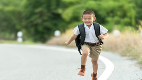 易混词汇—相似单词的不同之处AOLevel考试资讯网_A-Level与O-Level考试培训网