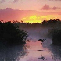 A-level生物专业术语词缀汇总（一）AOLevel考试资讯网_A-Level与O-Level考试培训网