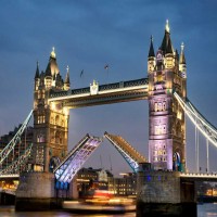 A-level考试与预科有何区别AOLevel考试资讯网_A-Level与O-Level考试培训网