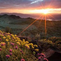 教你如何写A-level经济学的论述题AOLevel考试资讯网_A-Level与O-Level考试培训网