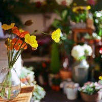 O-level后的去向问题AOLevel考试资讯网_A-Level与O-Level考试培训网