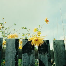 A-level数学难不难？AOLevel考试资讯网_A-Level与O-Level考试培训网