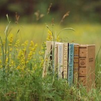 那些适合读O-level预备班的新加坡学校AOLevel考试资讯网_A-Level与O-Level考试培训网