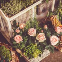 A-level经济学——政府干预AOLevel考试资讯网_A-Level与O-Level考试培训网