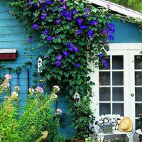 去新加坡留学，办理签证时要注意哪些？AOLevel考试资讯网_A-Level与O-Level考试培训网