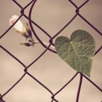 如何通过O-level申请新加坡理工学院AOLevel考试资讯网_A-Level与O-Level考试培训网