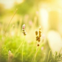 学生满意度最高的英国大学——拉夫堡大学 AOLevel考试资讯网_A-Level与O-Level考试培训网