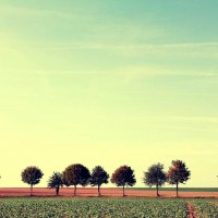 英国留学：这三种务必要办理的保险AOLevel考试资讯网_A-Level与O-Level考试培训网