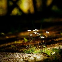 A-level经济学推荐书单清理AOLevel考试资讯网_A-Level与O-Level考试培训网