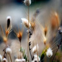 A-Level化学— Atomic Structure考点总结AOLevel考试资讯网_A-Level与O-Level考试培训网